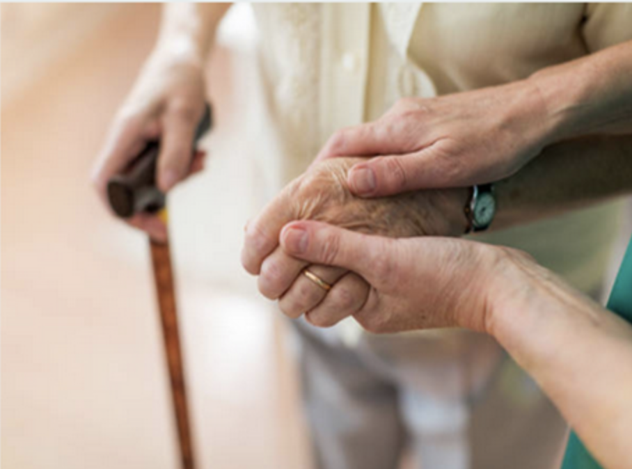 Elder support services
